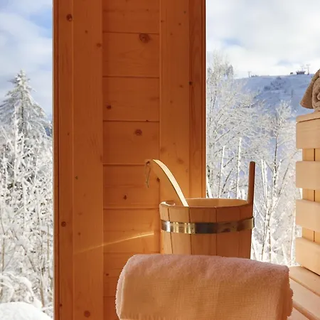 Werkmeisters Huette זנקט אנדריאסברג