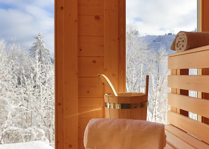 Werkmeisters Huette Sankt Andreasberg